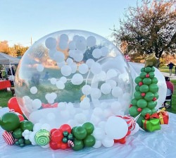 Snow Globe Bubble House