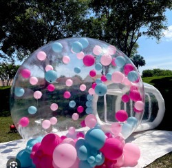 IMG 1079 1748543153 Balloon bubble house globe