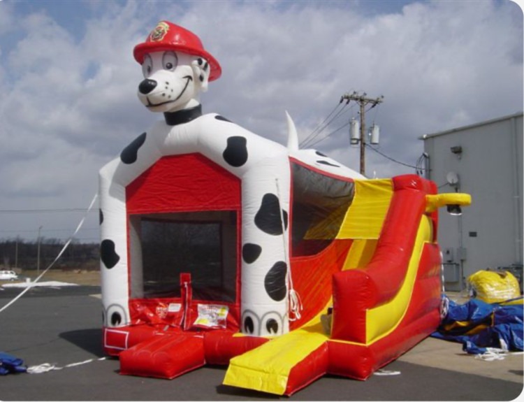Dog bounce house combo