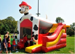 IMG 1118 1748380083 Dog bounce house combo