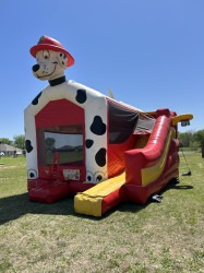 IMG 1166 1748380083 Dog bounce house combo
