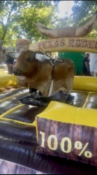 RODEO Mechanical bull