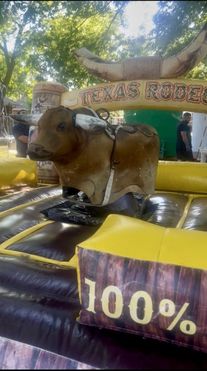 Mechanical bull