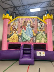 disney20princess 1748387332 Princeess 15x15