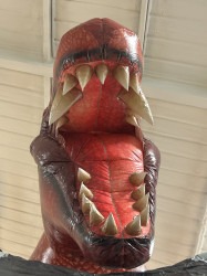 45566702 0F90 4316 B8CA 51C341903D47 1756061650 Dinosaur T-Rex Combo