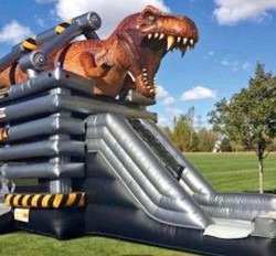 Dinosaur T-Rex Combo