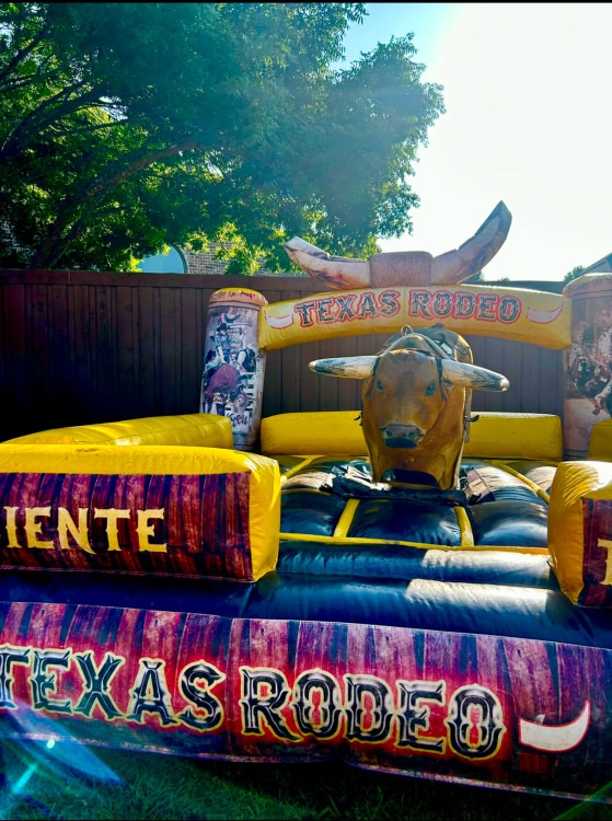RODEO Mechanical bull