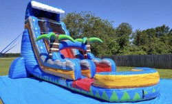 20A84770 5821 4B81 A693 B0671FA3B2E6 1768784201 Tropical wave waterslide