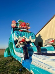 1C90A94F 320A 4998 BCDF 2AD2E3E6108F 1770348919 Tiki Tovi slide