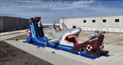 5996986E 8F22 44C9 9ADB A6D34B5A11C6 1773465208 The Megalodon Shark