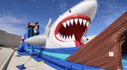 E0845E98 5E81 487B AA8F 23B5FDC6E802 1773465208 The Megalodon Shark