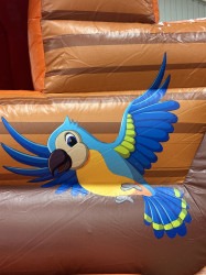 FA2E4506 DD0A 4170 B624 59EB3BAD8B64 1774495041 Noah’s ark combo